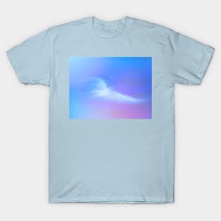 Soaring on the Wings of a Dove T-Shirt